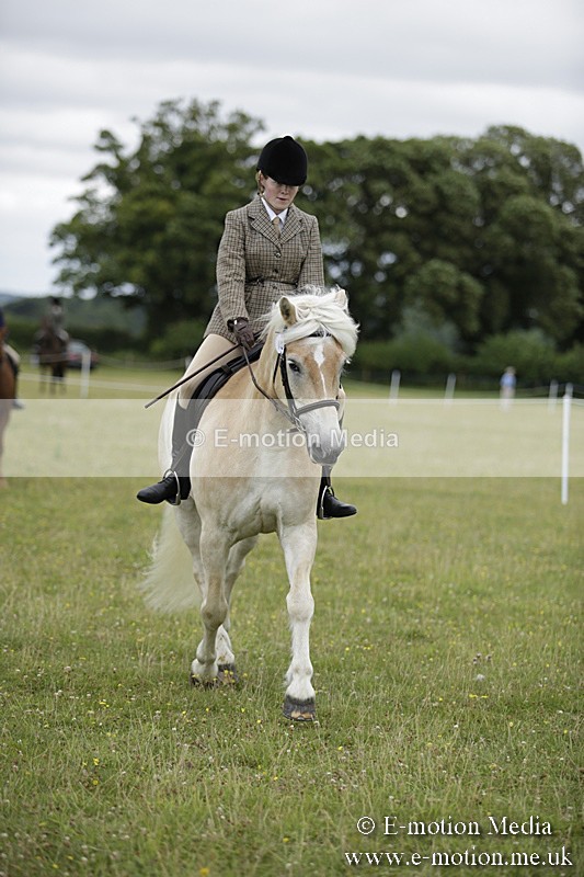 BVR160717-1523 - Ring 1 BVRC Show 16/07/17