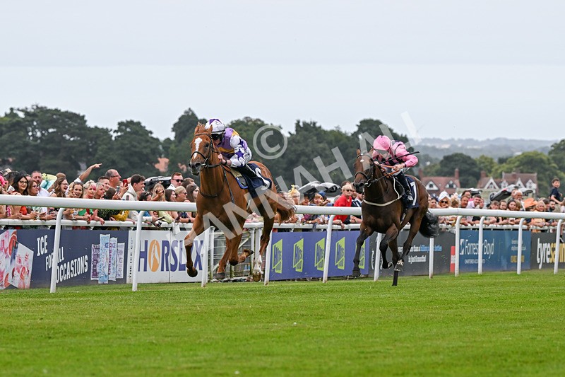 140824-Race 2-Stanhope Gardens-6029 - Race 2