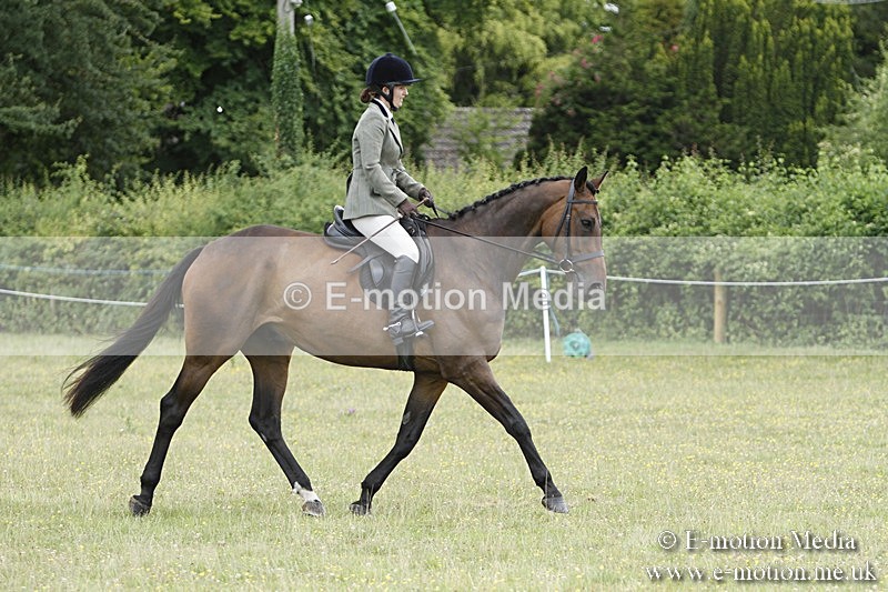 BVR160717-1778 - Ring 3 BVRC Show 16/07/17