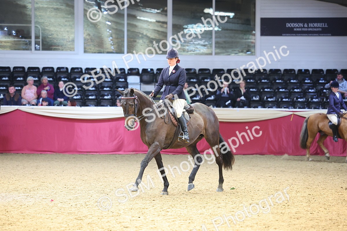 SBM_23523 - Class 904 - Supreme Final Ridden Diamond