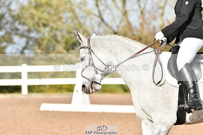 231104A-105213-00163 - Cls 4 Novice 22