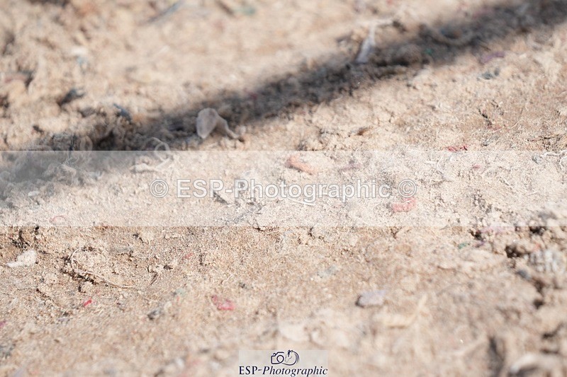 250720-160817-21088 - Cls 4, 3 Star Small Tour