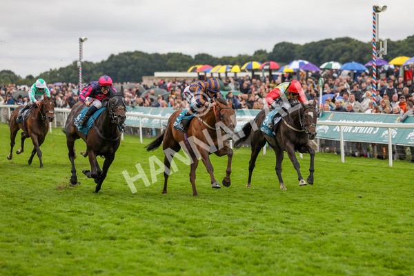 130724-Race 6-Zimmerman-2208 - Race 6 4.50pm John Smith's Stayers' Handicap