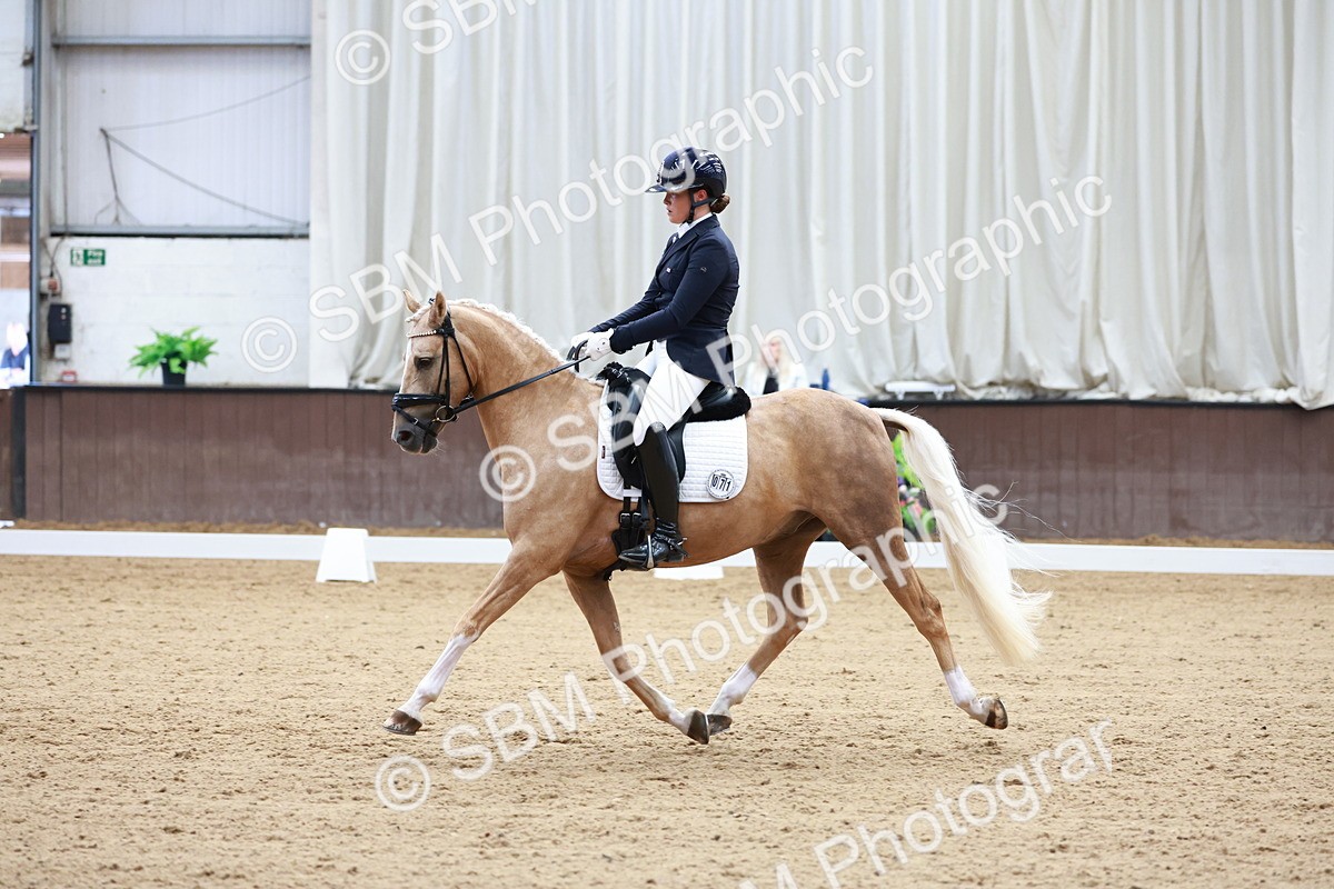 SBM_017315 - Class15 - FEI Pony