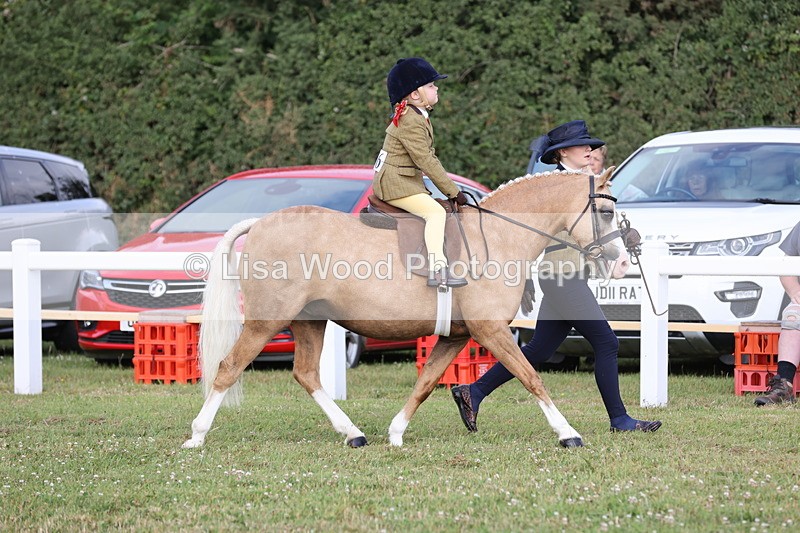 JPP_0211 - Class 14: Cornish Combination Leading Rein