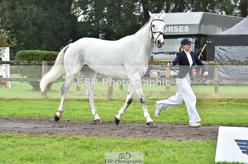 231018-125134-00577 - 072-CARROW.IROKO-Alice.England-TrotUp