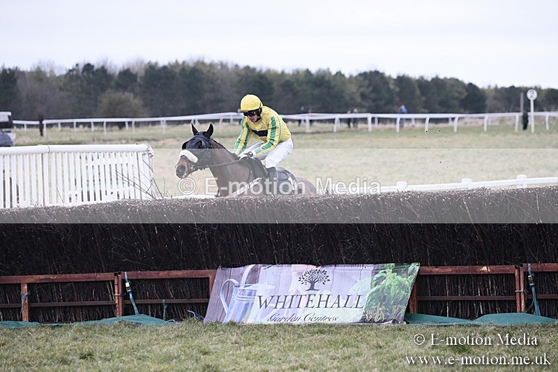 PtP 180218 233 - Combined Services Point-to-Point Larkhill 18/02/18