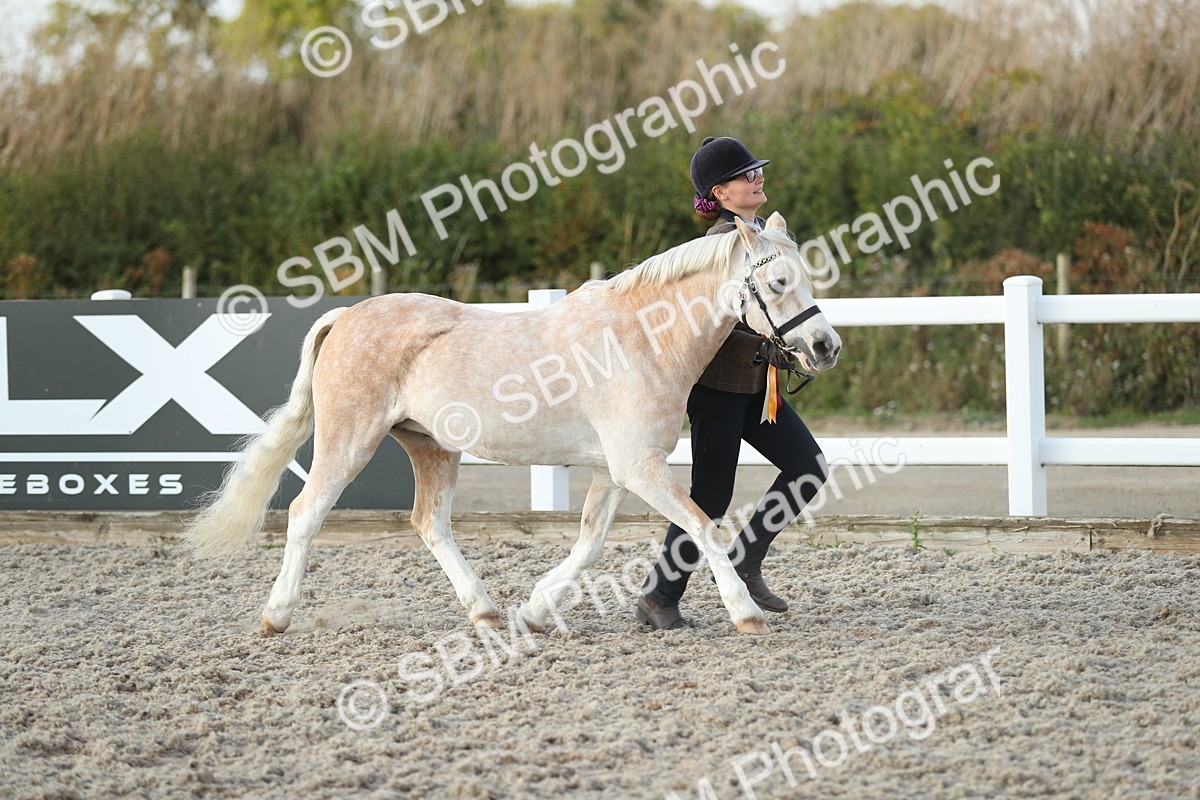 SBM_09122 - Class 29 IH Veteran Pony