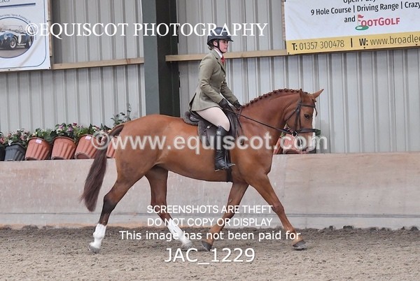 JAC_1229 - CLASS 8 BHS Scotland Riding Club Working Hunter Qualifier (1.00m)