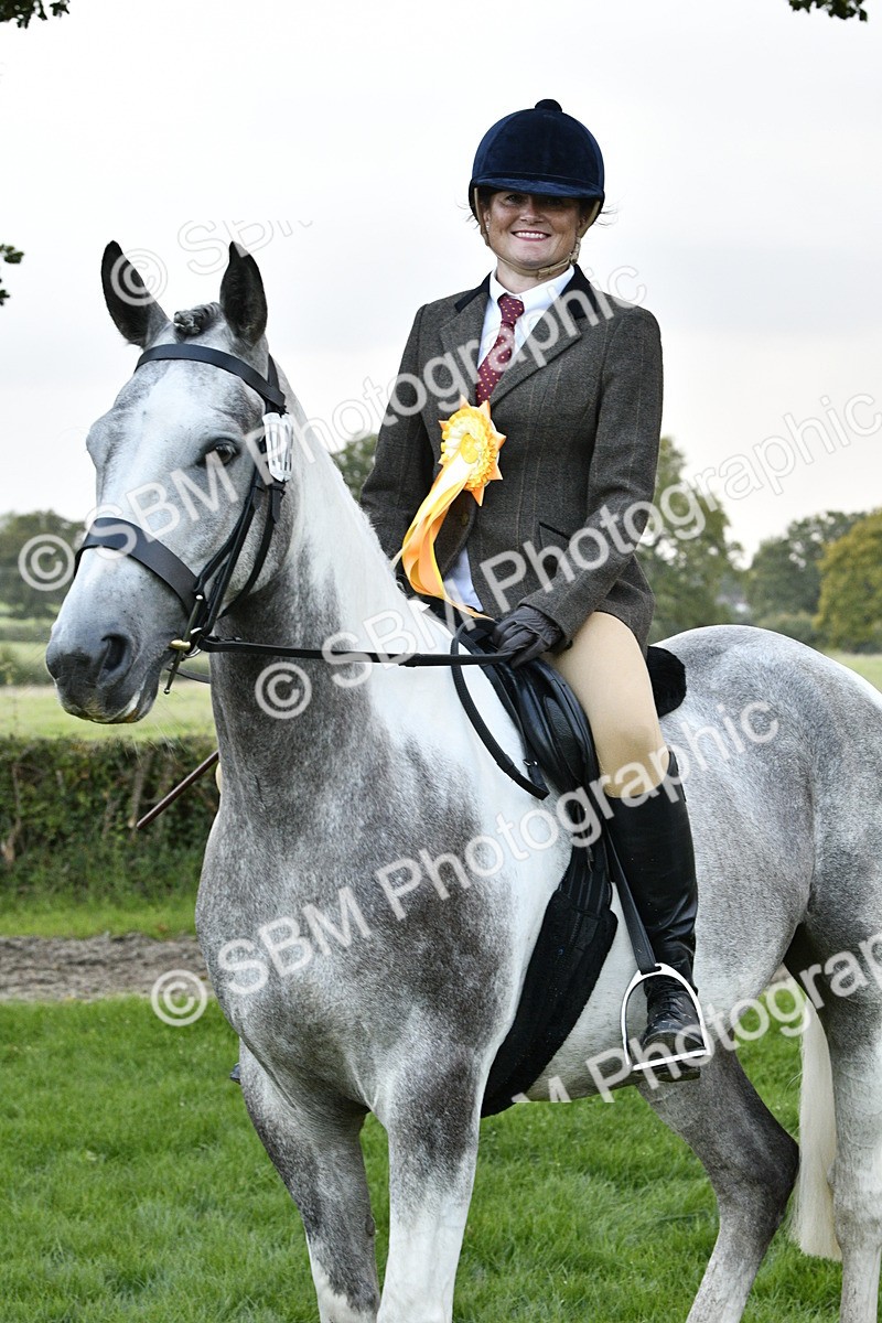 SBM_53630 - S14 - Riding Club Horse