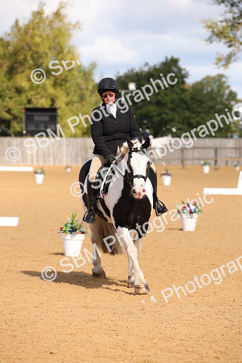 SBM_04326 - D2 Small Tour Championship Intro C