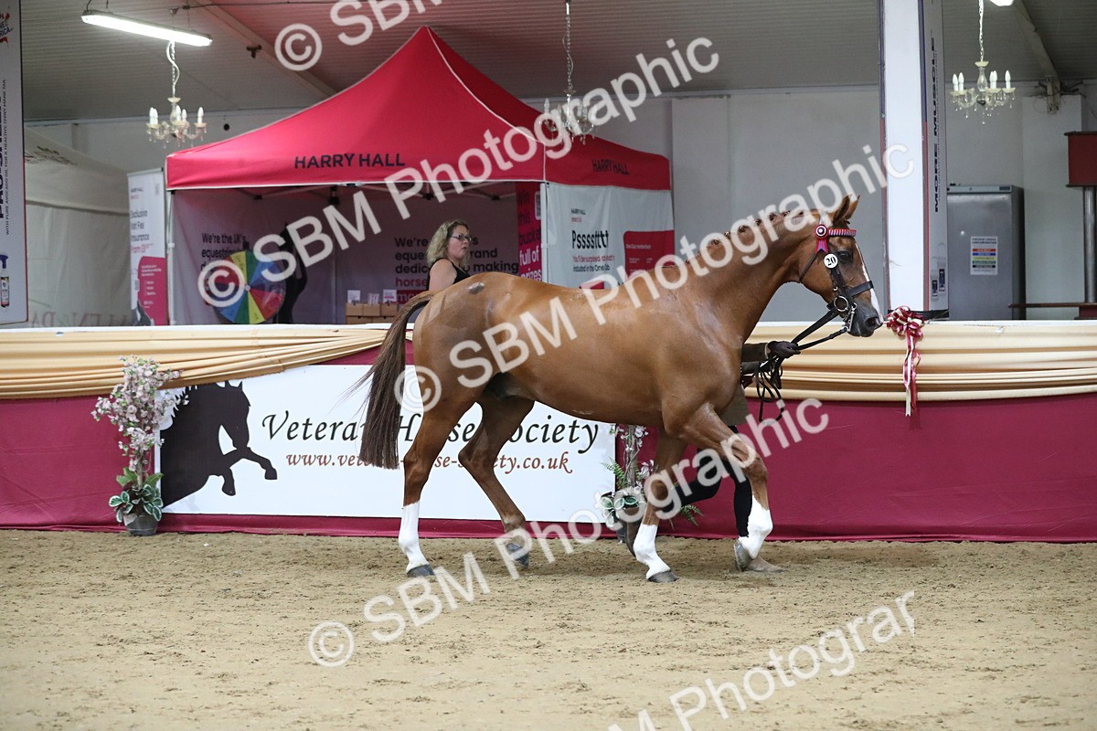SBM_05079 - Class 8R- Regional -IH Veteran