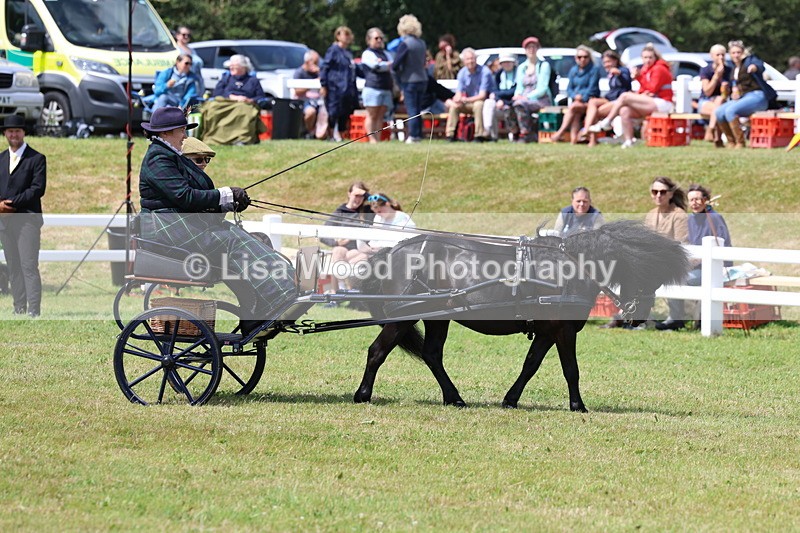 3E7A2643 - Class 12: Open Driving