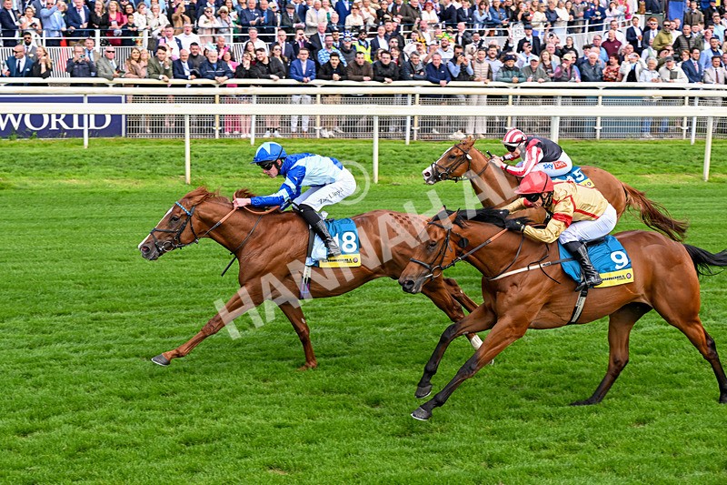 130626-Race 4-Thunder Call-1300 - Race 4 15.35pm Churchill Tyres Supporting Macmillan Sprint Handicap