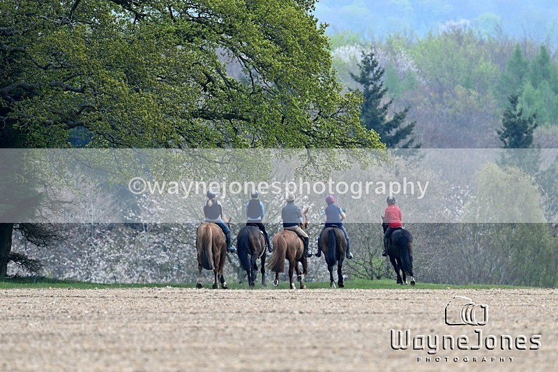 WJ7_2929 - Chiltern Fun Ride - Christmas Tree Barn 13-04-25