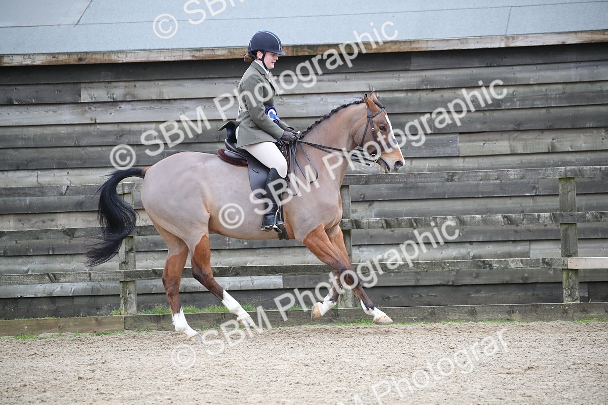 SBM_004699 - Class 5-9 - NPS In Hand-Show Hunter-Intermediate Ridden Inc Ridden Championship