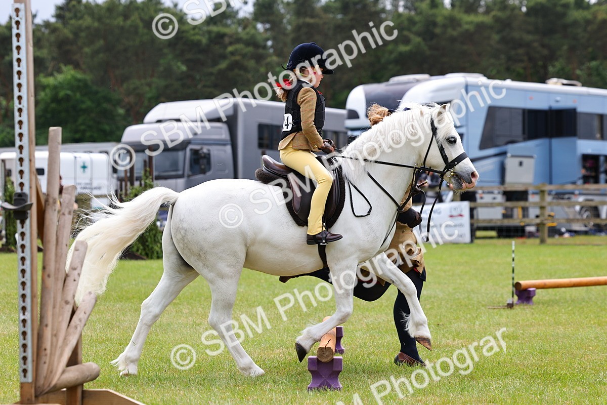 SBM_08194 - Class 42-43 - LIHS BSPS Heritage Working Sports Pony