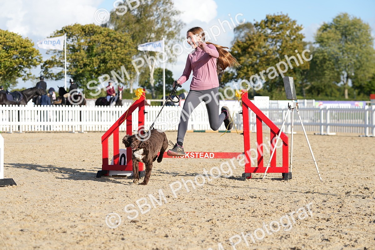 SBM_28954 - J43 - Horse & Hound Open 50cm