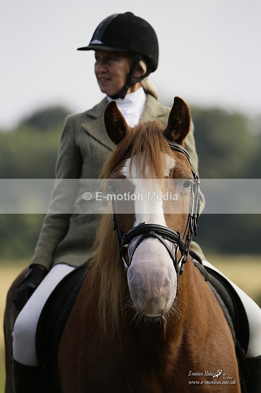 BVRC 120921 11 - Bourne Valley Riding Club UA Dressage & Show Jumping 12/09/21