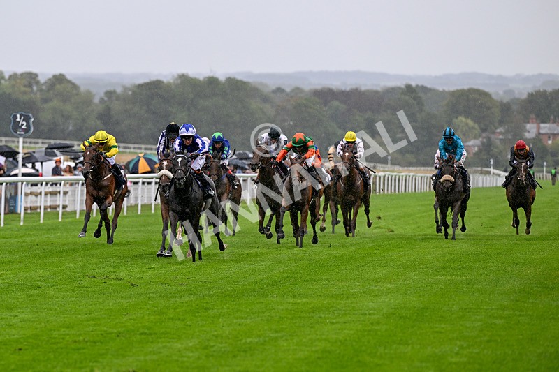 290826-Race 4-Necromancer-6915 - Race 4 3.35pm Ire-Incentive, It Pays To Buy Irish EBF Restricted Maiden Fillies' Stakes