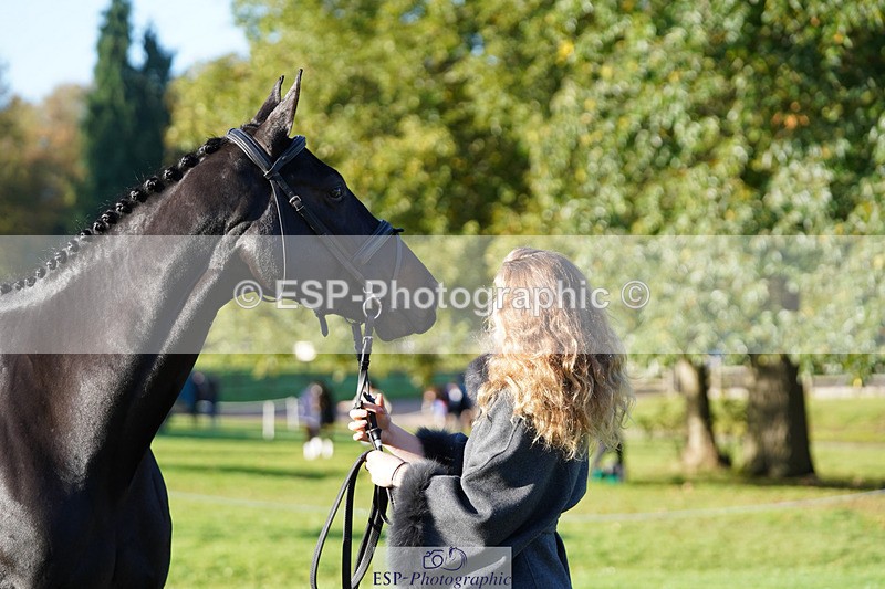 241026-100910-11649 - 002-Ellie.Fredericks-BRITANNIA'S.OLIVE