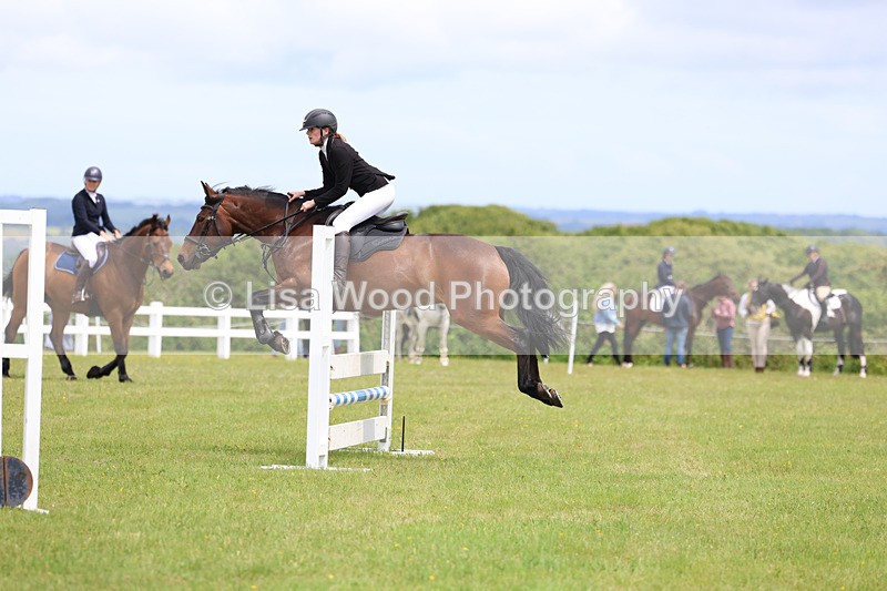 3E7A7267 - Class 13: Senior British Novice/90cm open