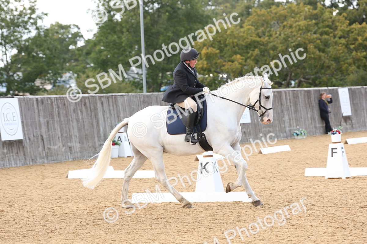SBM_28290 - D20 - Grand Tour Championship Elementary 3