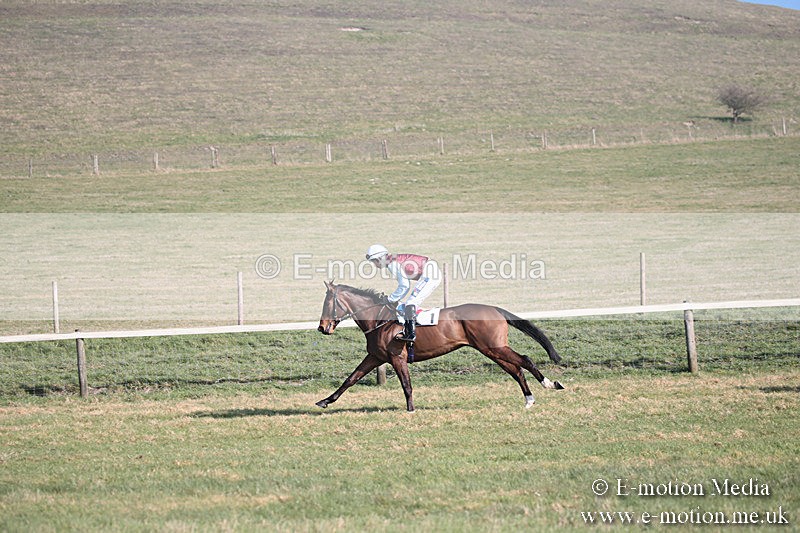 PtP 230219 184 - Vine & Craven Point-To-Point - Barbury 23/02/19
