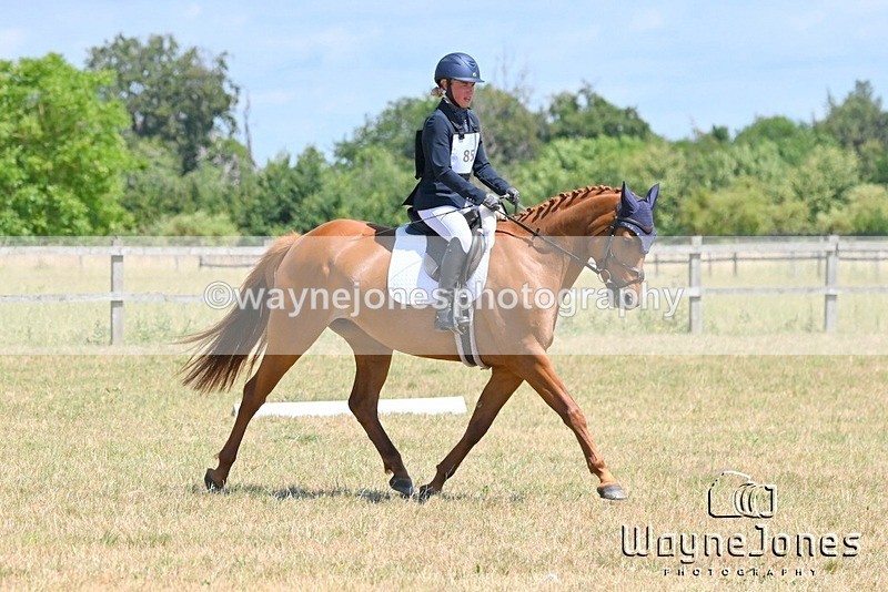 WJ6_4232 - Edited examples