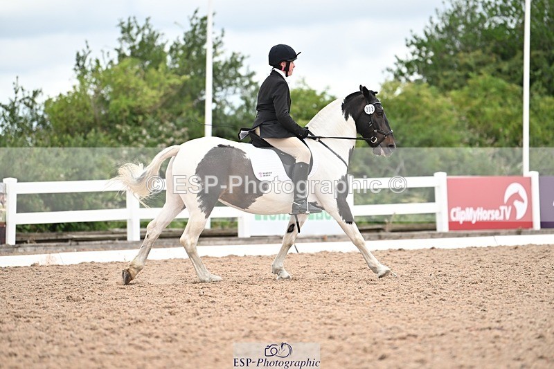 250705-175535-04252 - N2 Section BDNOV2 16.29 to 17.46