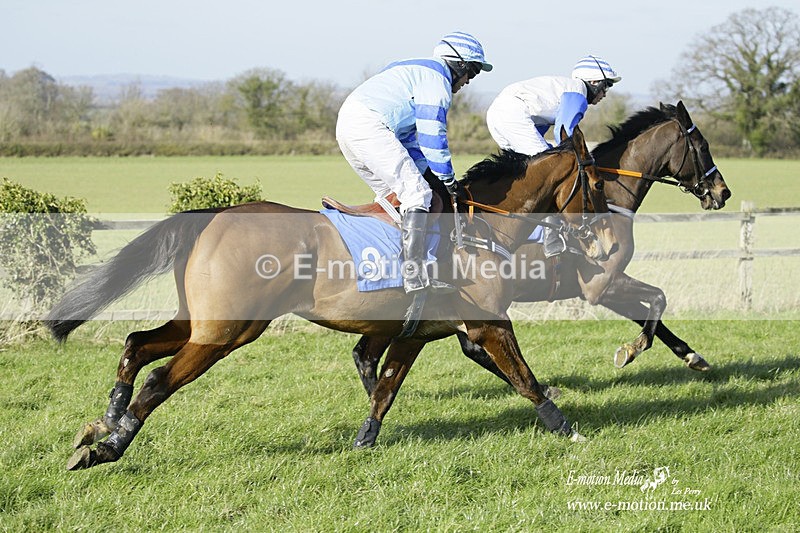 PtP 260222 577 - Kingston Blount Racing Club Point-to-Point 26/02/22