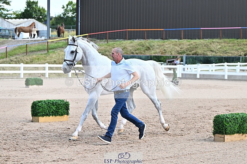 240718A-105253-01276 - Trot Up 12pm to 1pm