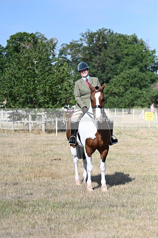 WJ7_2872 - Class 8 Ridden Tack & Turnout