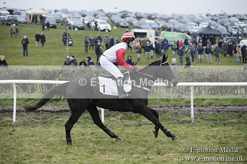 PtP 020418 -33 - Old Berks Point-to-Point Races Easter Monday 02/04/18