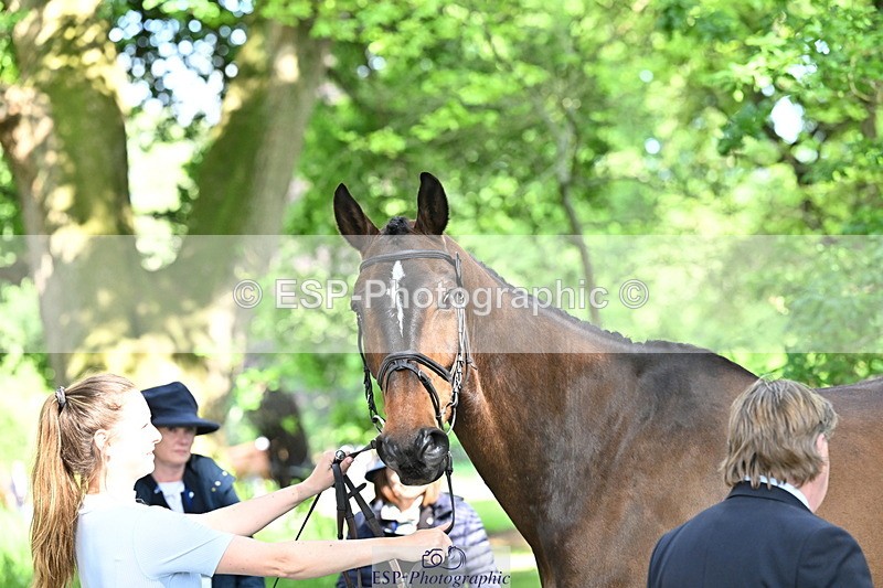 250521A-163838-01252 - C-262-Cosby.Green-LIBERO.D