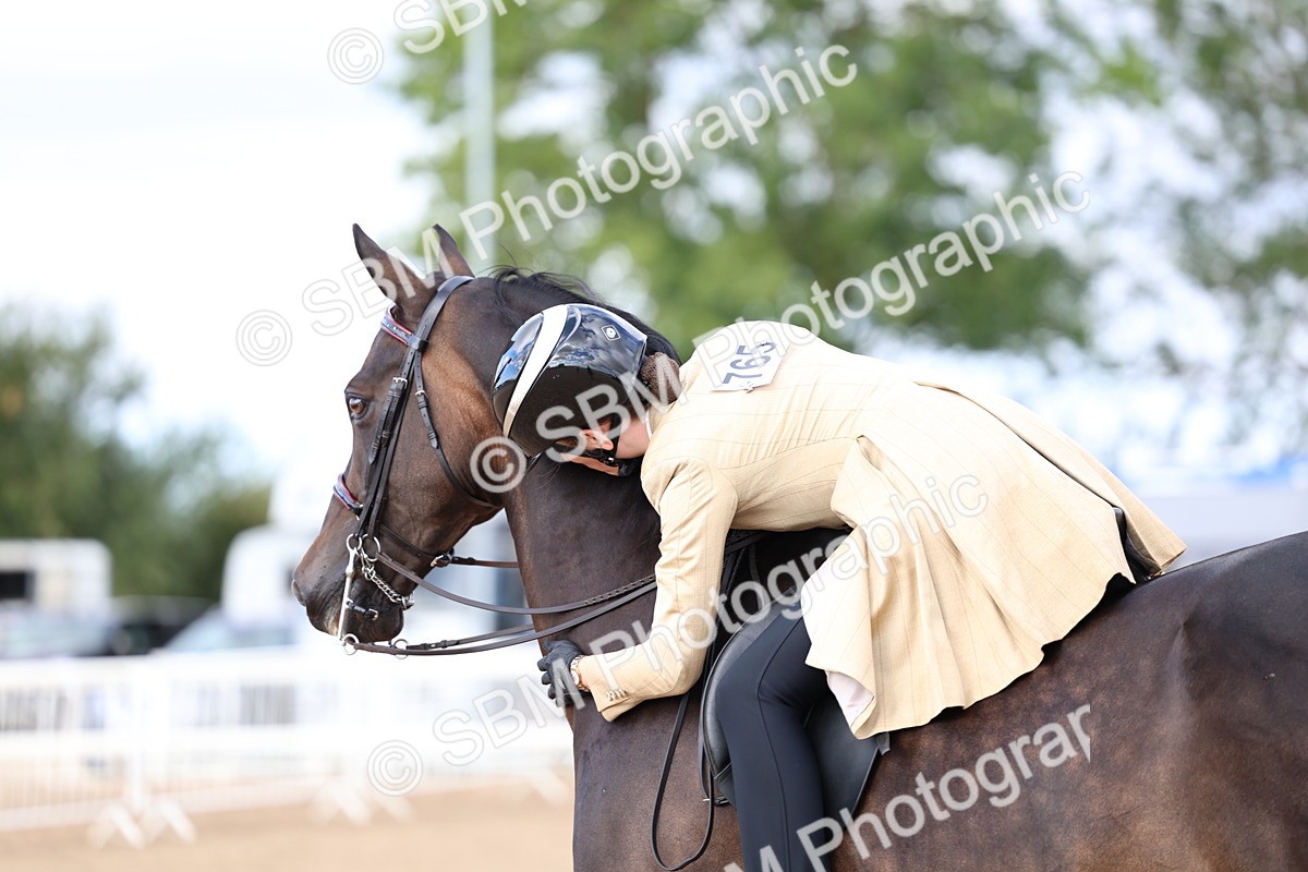 SBM_09171 - Class 303 - Ridden Pure Bred Horse Pony
