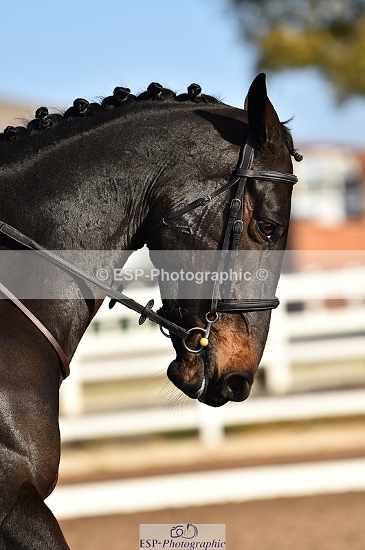 231104A-094910-01213 - Cls 1 Prelim 15