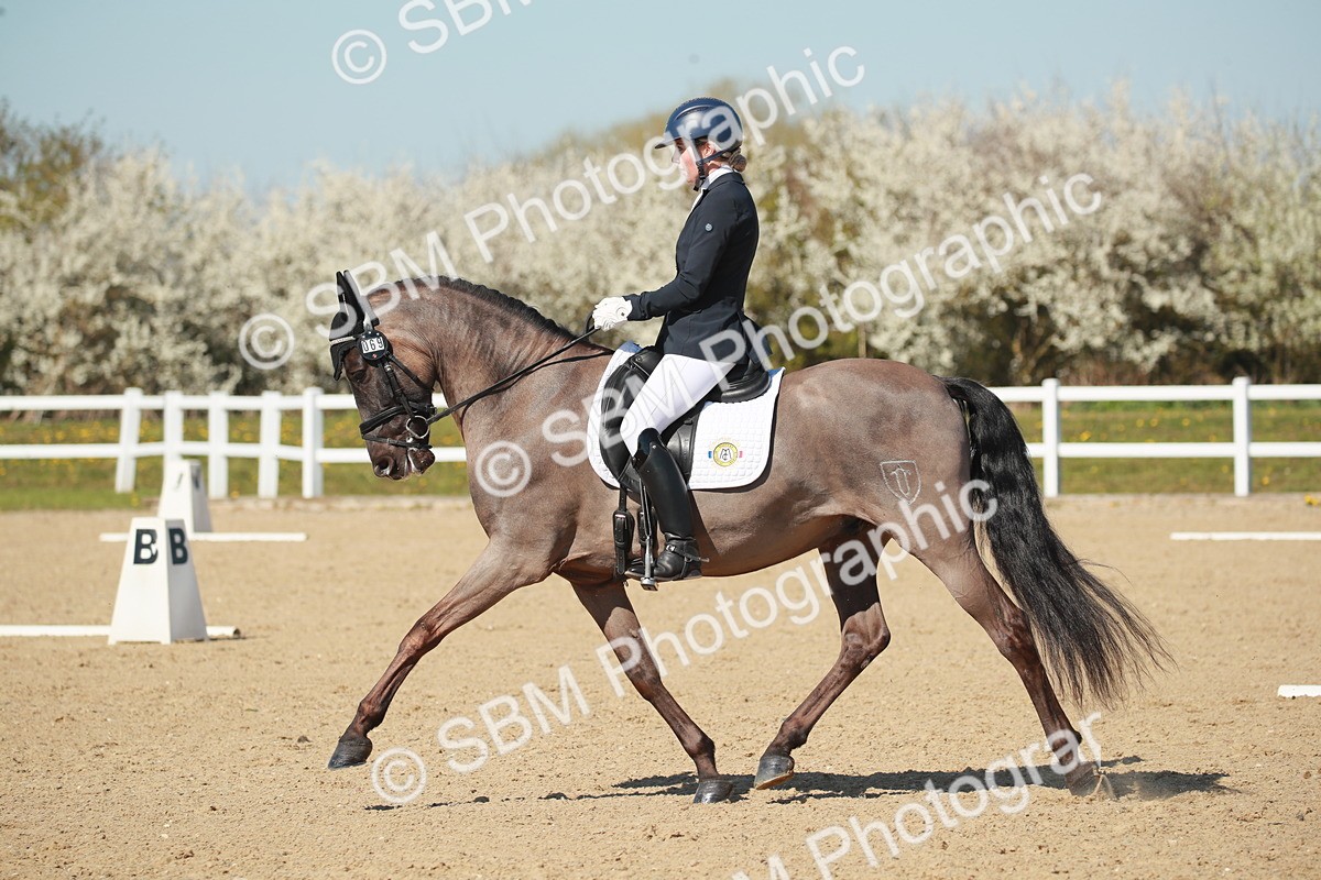 SJ3_1588 - Class 2-5-4-6-7 - Paso Doble-Golega-Sevilla-Lisboa-Novato