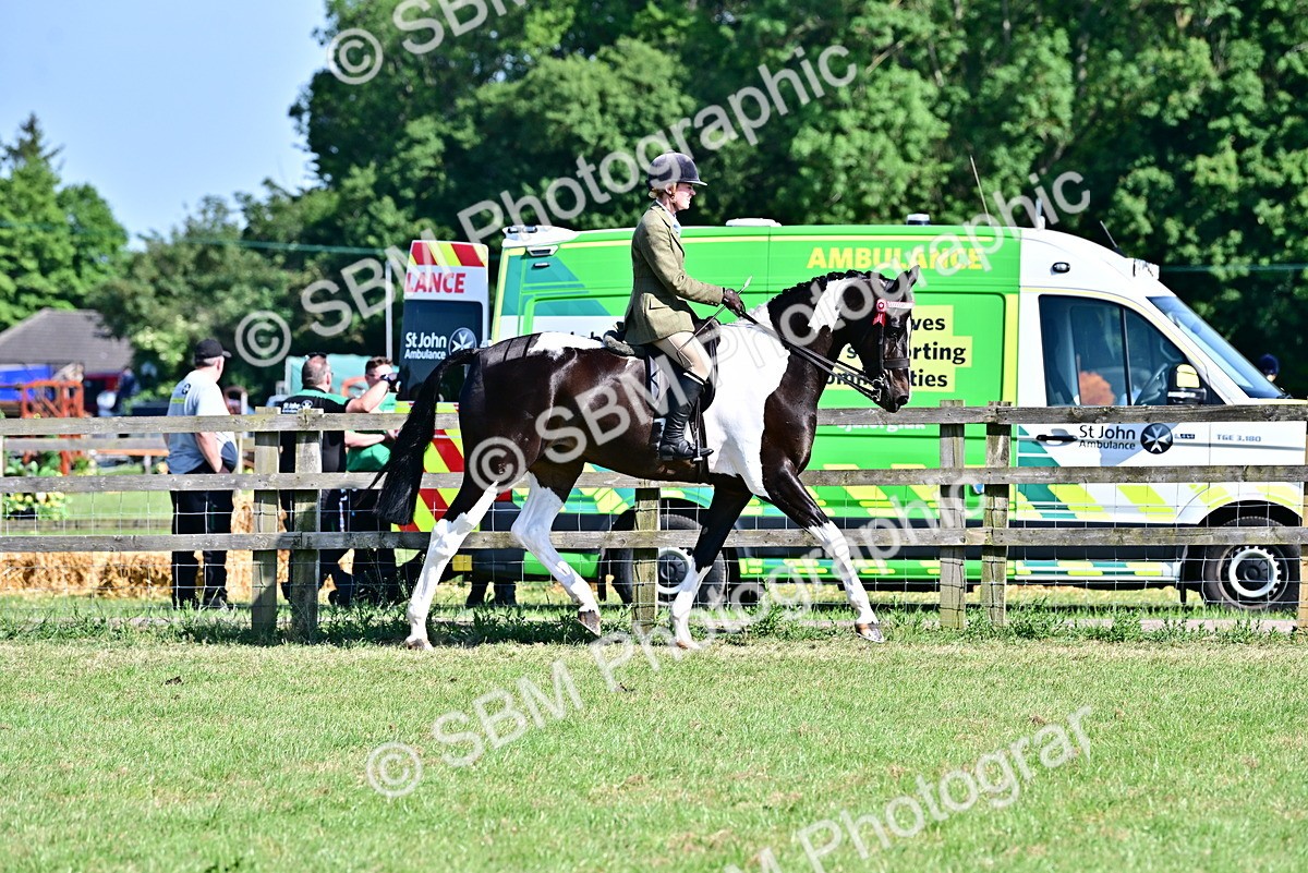 SBM_19509 - Class 101-102 - BSPS LIHS Performance Coloured Horse/Pony