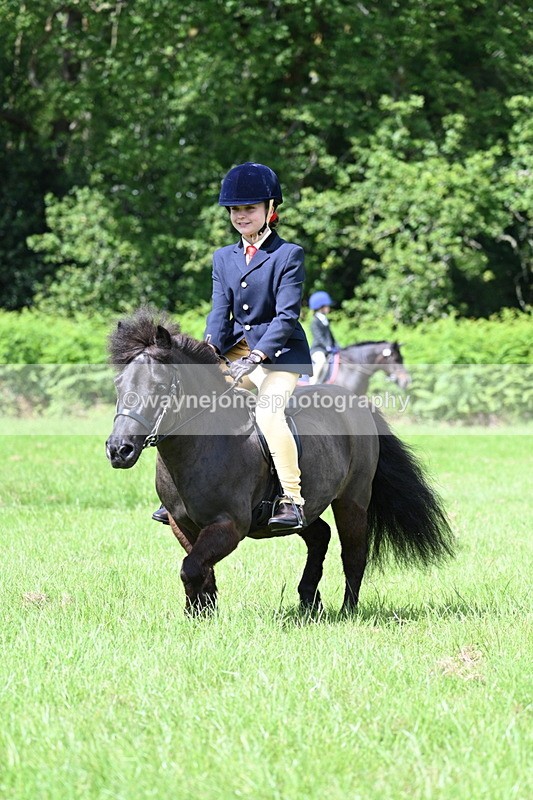 WJ7_1262 - Class 11 Condition & Turnout