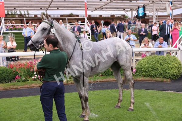 yr23072022r5-75 - Race 5 4.25pm Sky Bet UK's No1 Betting App Stakes