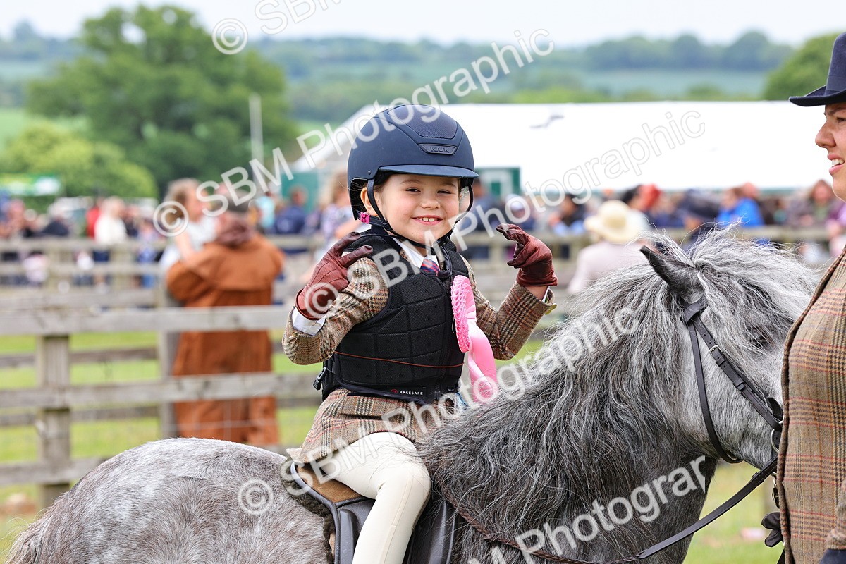 SBM_08391 - Class 42-43 - LIHS BSPS Heritage Working Sports Pony