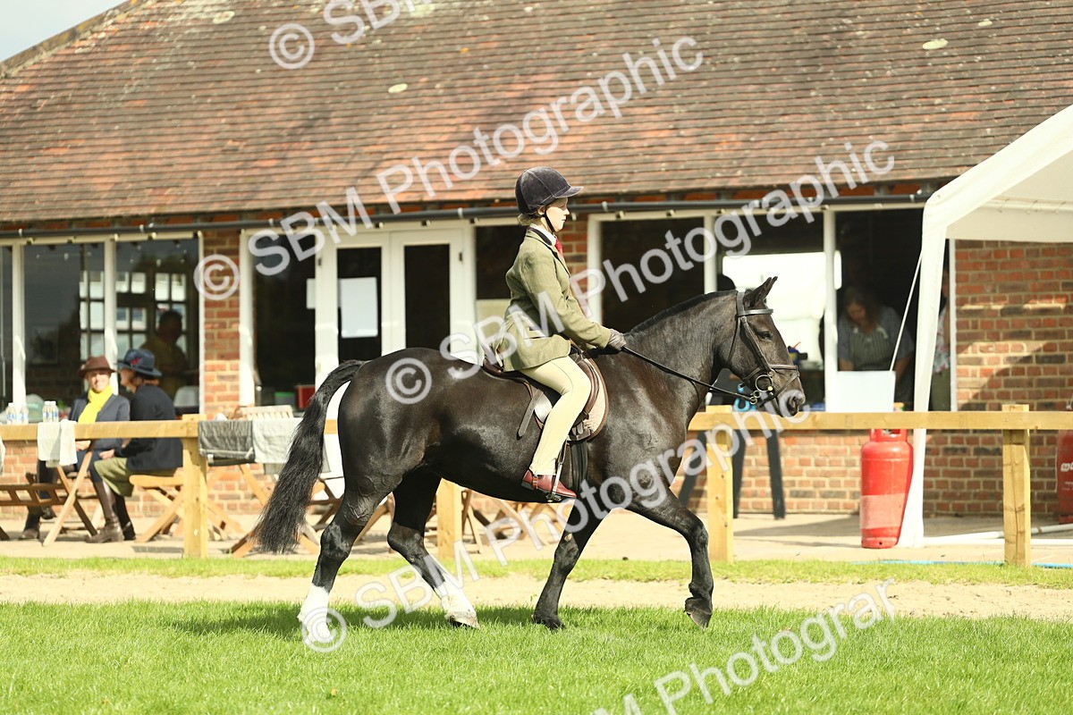 SBM_44904 - Working Hunter Pony Supreme Championship