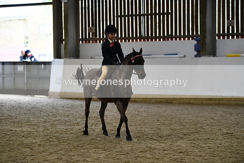 WJ5_6947 - Class 10 Childs Pony