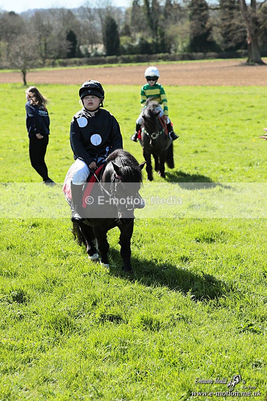 Shet 060426 363 - Shetland Pony Racing Paxford Races Easter Mon 06/04/26