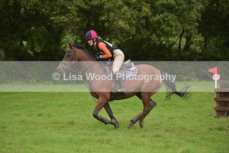 RAY_0581 - Class 5: 90cm Double of Brushes