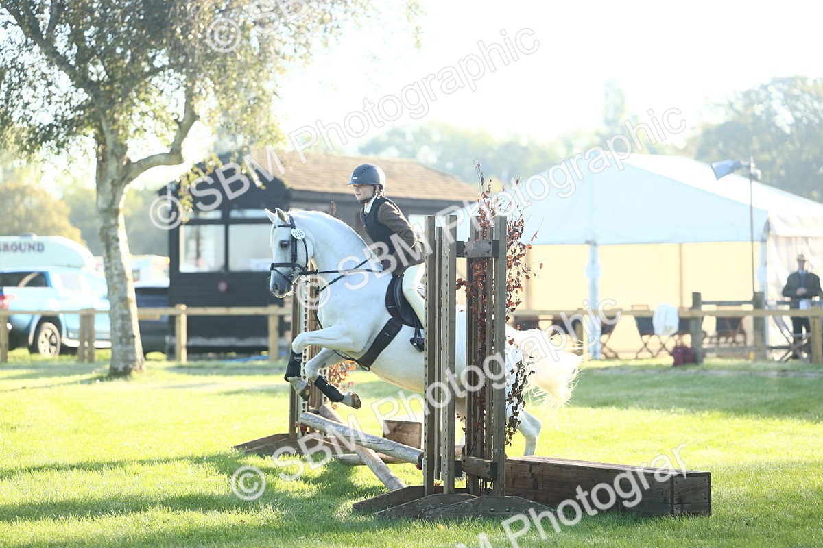 SBM_37353 - S29 - Novice & Newcomers Working Hunter Pony