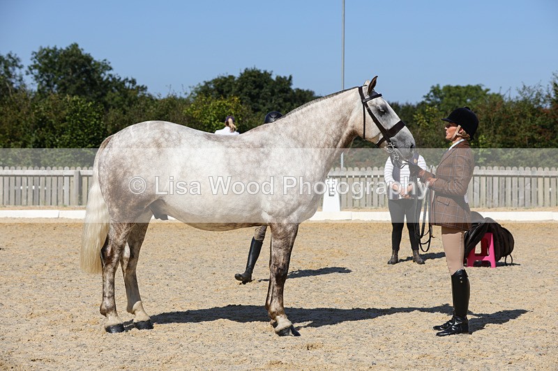 1X9A8078 - Class 11: Open Cob