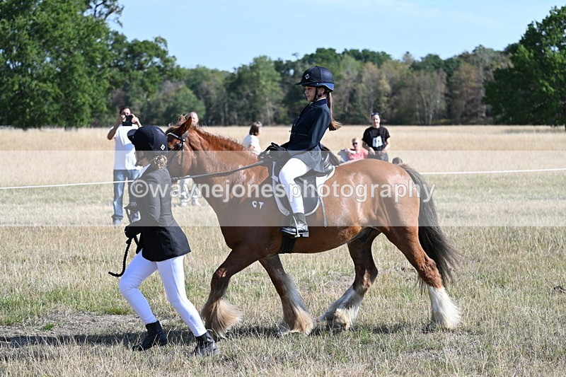 WJ7_3015 - Class 8 Ridden Tack & Turnout