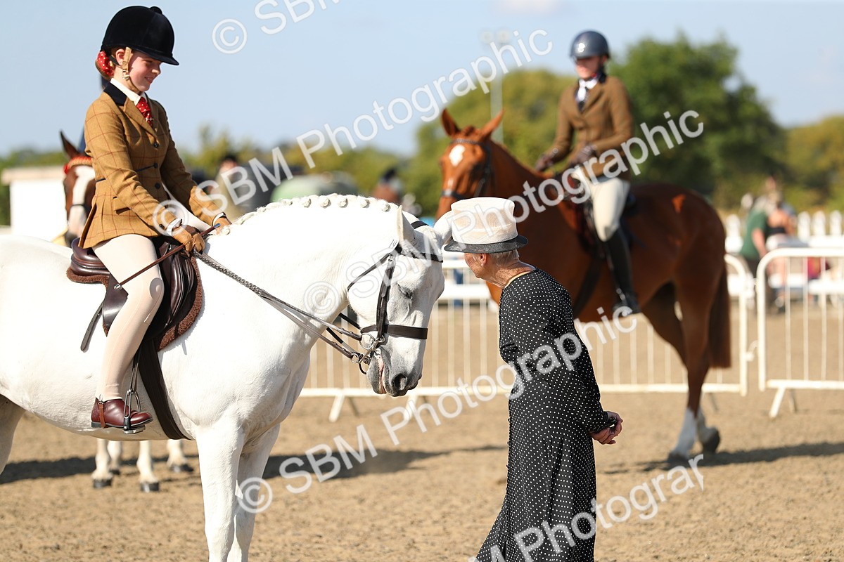 SBM_02303 - Class 43 Ridden Competition Horse/Pony